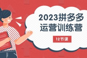 2023拼多多运营训练营：流量底层逻辑，免费+付费流量玩法（12节课）