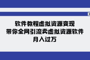 软件教程虚拟资源变现：带你全网引流卖虚拟资源软件，月入过万（11节课）