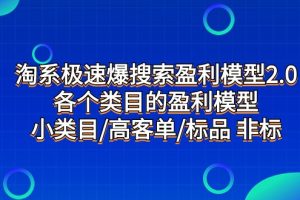 淘系极速爆搜索盈利模型2.0，各个类目的盈利模型，小类目/高客单/标品 非标