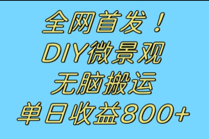 全网首发冷门赛道！DIY微景观，无脑搬运视频，日收益800+