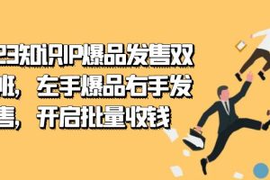 2023知识IP-爆品发售双阶班，左手爆品右手发售，开启批量收钱