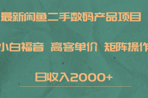 最新闲鱼二手数码赛道，小白福音，高客单价，矩阵操作，日收入2000+