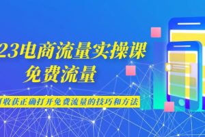 2023电商流量实操课-免费流量，学会可收获正确打开免费流量的技巧和方法