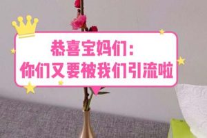 恭喜宝妈们：你们又要被我们引流了（教程+222g资料）