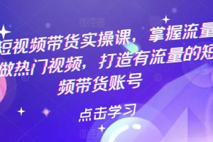 热门短视频带货实战 掌握流量密码 做热门视频 打造有流量的短视频带货账号