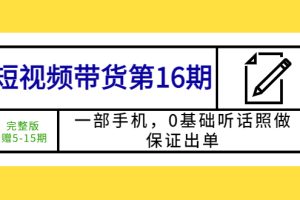 短视频带货第16期：一部手机，0基础听话照做，保证出单 (完整版)