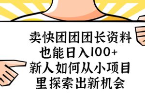 卖快团团团长资料也能日入100+ 新人如何从小项目里探索出新机会