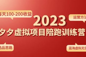 《拼夕夕虚拟项目陪跑训练营1.0》单店每天100-200收益 独家选品思路和运营