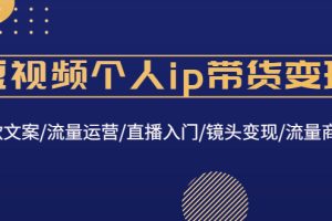 短视频个人ip带货变现：爆款文案/流量运营/直播入门/镜头变现/流量商业