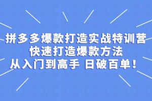 拼多多爆款打造实战特训营：快速打造爆款方法，从入门到高手 日破百单