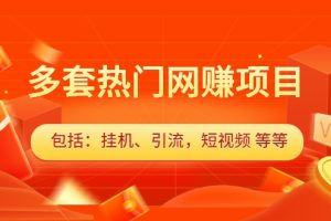 多套热门网赚项目，更新中视频撸钱（包括：挂机、引流，短视频 等等）