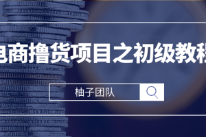 电商撸货项目之初级教程，单撸品牌小样批量起号月入5000+