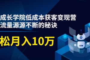 低成本获客变现营，教你流量源源不断的秘诀，轻松月入10万