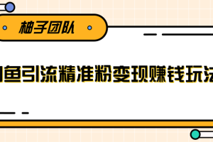 闲鱼引流方法：能一边引流一边挣钱，日引精准粉丝100+【无水印】