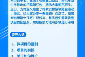 柚子团队内部项目：操作无门槛零撸赚钱项目，利用支付宝项目狂薅十几万