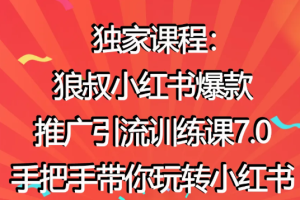 狼叔小红书爆款推广引流训练课7.0，手把手带你玩转小红书【无水印版】