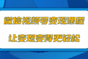 微信视频号变现项目，0粉丝冷启动项目和十三种变现方式（视频教程）