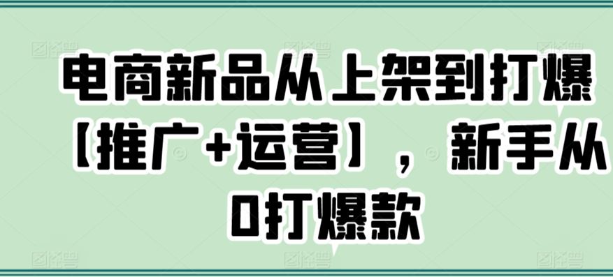 电商新品从上架到打爆【推广+运营】，新手从0打爆款